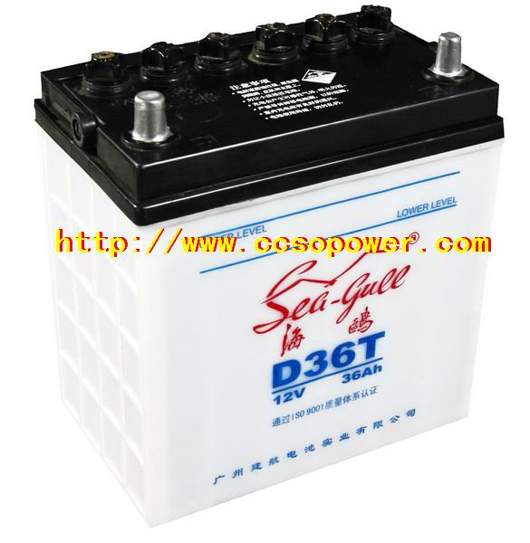 t늳D36T